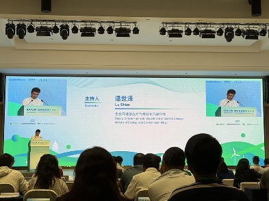 内2.jpg